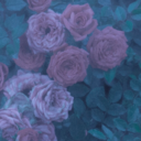 prettypinkprettypink avatar