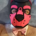 prettypinkpuppy avatar