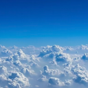 prettypiscesdreamer avatar