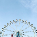 prettyplotbunnies avatar