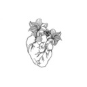 prettyradusername avatar