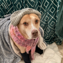 prettyscorpiosstuff avatar