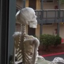 prettysurethisworks avatar