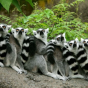 prettythings-heartstrings avatar