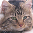 prettyxthings avatar