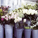 prettyxthingssx avatar