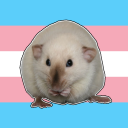 previouslygibberish avatar