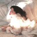 price-is-dreamy avatar