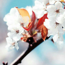 pricelessprincess7 avatar