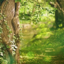 pricillapeaches avatar