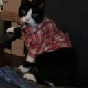 prickingofmythumbs avatar