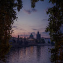 primalwonders avatar