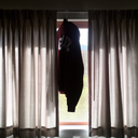 primaprimrose avatar