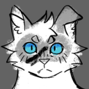 prime-raccoontime avatar