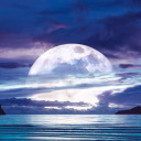 primordial-lifeguard avatar