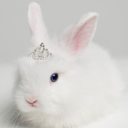 princ3ss-bunny avatar