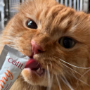 princecroutons avatar