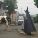 princeoffuckyou avatar