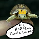 princeofturtles avatar