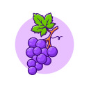 princepondincherry avatar