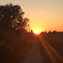 princess-breeeee avatar