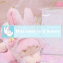 princess-bunbun avatar