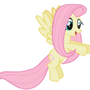 princess-fluttershyy-blog avatar