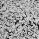 princess-hopless avatar