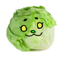 princess-of-lettuce avatar