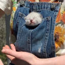 princess-of-the-bees avatar