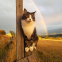 princess-reba avatar