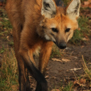 princess-yan-writes avatar