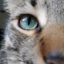 princessglittermageline avatar