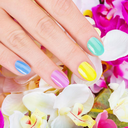 princessj-xox avatar