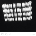 princessk-doll avatar