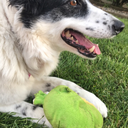 princesskatiethrynn avatar