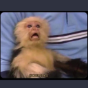 princesslissey avatar