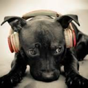 princessmarievp avatar