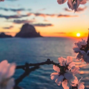 princessofpersia96 avatar