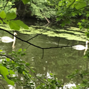 princessozma0-blog avatar