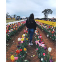 princessracheel avatar