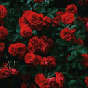 princessvalencia1 avatar