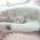 princessvirgi avatar