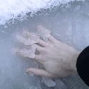 princeton-avenue avatar