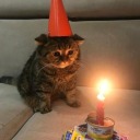 princey-look-at-me avatar