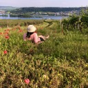 principleofmoments avatar