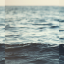 printre-lacrimi avatar