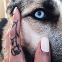 prinzessin1211 avatar