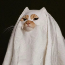 prinzessinpluto avatar