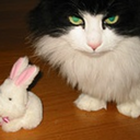 prinzesswinnie avatar